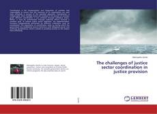 Copertina di The challenges of justice sector coordination in justice provision