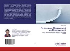 Performance Measurement and Improvement的封面
