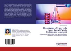Обложка Phenotypes of Stem cells from Dental Pulp & Periodontal Ligament