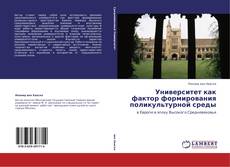 Bookcover of Университет как фактор формирования поликультурной среды