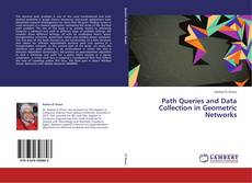 Copertina di Path Queries and Data Collection in Geometric Networks
