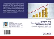 Challenges and Opportunities for Micro and Small Agribusinesses kitap kapağı