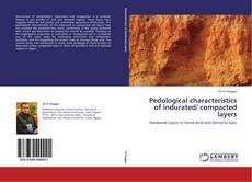 Bookcover of Pedological characteristics of indurated/ compacted layers