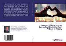 Capa do livro de Journeys of Heterosexual Evangelical Christians from Antigay to Progay 