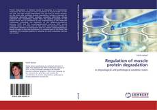 Buchcover von Regulation of muscle protein degradation