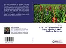 Capa do livro de Vase Life Enhancement of Flower Via Nitric Oxide: Biochem Superstar 