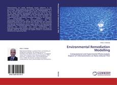 Buchcover von Environmental Remediation Modelling