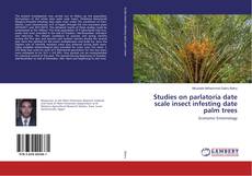 Copertina di Studies on parlatoria date scale insect infesting date palm trees