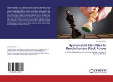 Hyphenated Identities to Revolutionary Black Power kitap kapağı