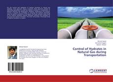 Copertina di Control of Hydrates in Natural Gas during Transportation