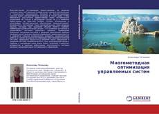 Copertina di Многометодная оптимизация управляемых систем