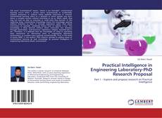 Copertina di Practical Intelligence in Engineering Laboratory-PhD Research Proposal