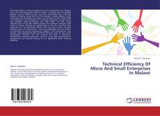 Обложка Technical Efficiency of Micro and Small Enterprises in Malawi