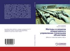 Методы и модели оперативного управления сложными объектами kitap kapağı