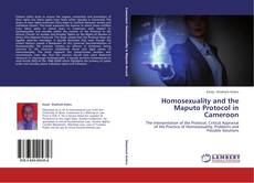 Buchcover von Homosexuality and the Maputo Protocol in Cameroon
