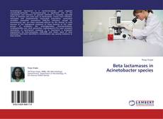Copertina di Beta lactamases in Acinetobacter species