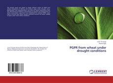 Capa do livro de PGPR from wheat under drought conditions 