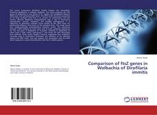 Portada del libro de Comparison of ftsZ genes in Wolbachia of Dirofilaria immitis