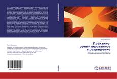 Copertina di Практико-ориентированное предвидение