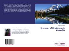 Copertina di Synthesis of Biheterocyclic Molecules