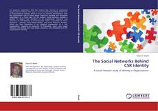 The Social Networks Behind CSR Identity kitap kapağı