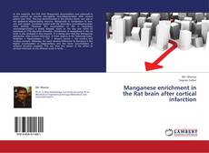 Bookcover of Manganese enrichment in the Rat brain after cortical infarction