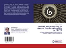 Thermal Barrier Coating on Gamma Titanium Aluminide by EB-PVD的封面