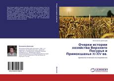 Copertina di Очерки истории хозяйства Верхнего Посурья и Примокшанья XI-XIV вв.