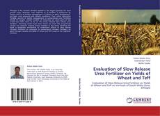 Copertina di Evaluation of Slow Release Urea Fertilizer on Yields of Wheat and Teff