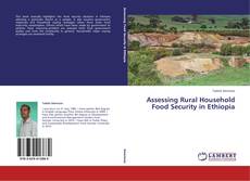 Copertina di Assessing Rural Household Food Security in Ethiopia