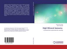 Bookcover of High Mineral Jeewanu
