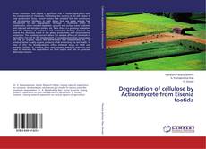Buchcover von Degradation of cellulose by Actinomycete from Eisenia foetida