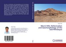 Обложка Morni Hills: Deformation and Geomorphology of the Sub-Himalayas