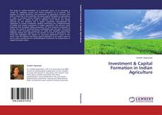 Investment & Capital Formation in Indian Agriculture的封面