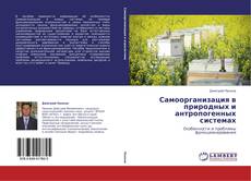 Buchcover von Самоорганизация в природных и антропогенных системах