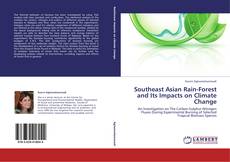 Buchcover von Southeast Asian Rain-Forest  and Its Impacts on Climate Change