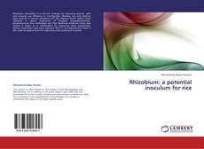 Capa do livro de Rhizobium: a potential inoculum for rice 