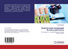 Buchcover von Клеточная селекция Brassica pekinensis
