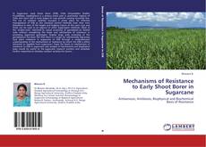 Copertina di Mechanisms of Resistance to Early Shoot Borer in Sugarcane