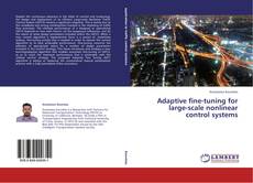 Buchcover von Adaptive Fine-tuning for Large-scale Nonlinear Control Systems