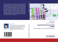 Buchcover von Lipid Production From POME