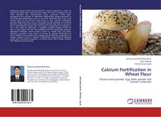 Copertina di Calcium Fortification in Wheat Flour