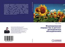 Формирование лидерства в детско-молодежных объединениях kitap kapağı