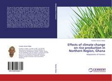 Copertina di Effects of climate change on rice production in Northern Region, Ghana
