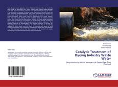 Copertina di Catalytic Treatment of Dyeing Industry Waste Water