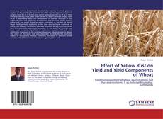 Capa do livro de Effect of Yellow Rust on Yield and Yield Components of Wheat 