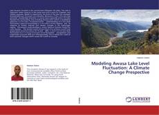 Couverture de Modeling Awasa Lake Level Fluctuation: A Climate Change Prespective