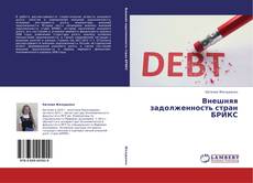 Внешняя задолженность стран БРИКС kitap kapağı