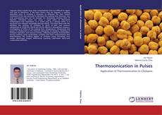 Buchcover von Thermosonication in Pulses