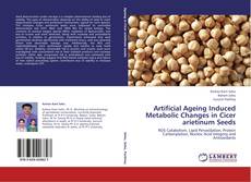Buchcover von Artificial Ageing Induced Metabolic Changes in Cicer arietinum Seeds